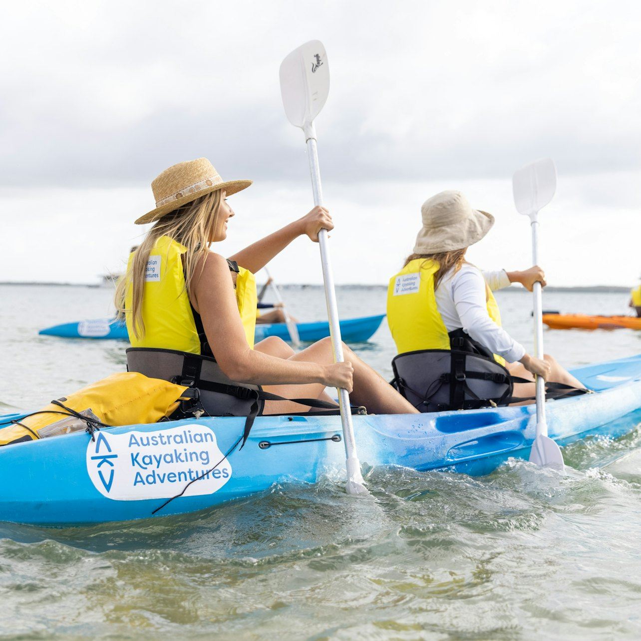 Gold Coast: tour in kayak e snorkeling con i delfini al mattino