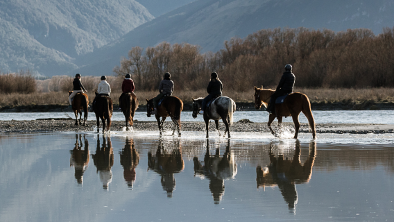 New Zealand South Island: 1.5-Hour Horseback Riding Tour in Glenorchy's The Road to Paradise Film Location (Self-Drive + Professional Guide and Equipment + Lord of the Rings Filming Site)
