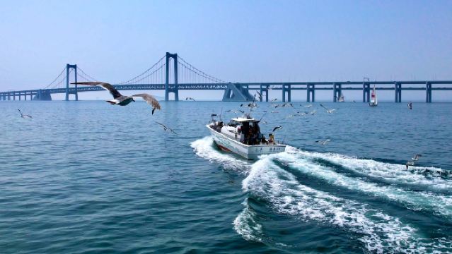 大連包車一日遊【私人訂製/一單一團/環海公路/上門接駁】