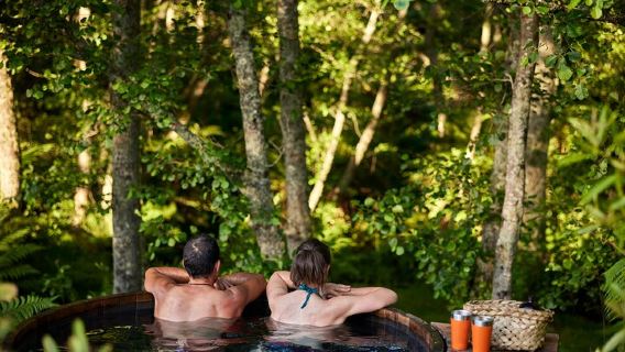 AucklandTours