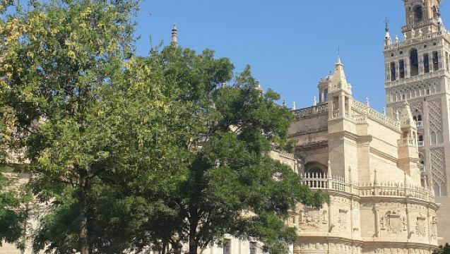 Siviglia: Tour Guidato dell'Alcázar e della Cattedrale