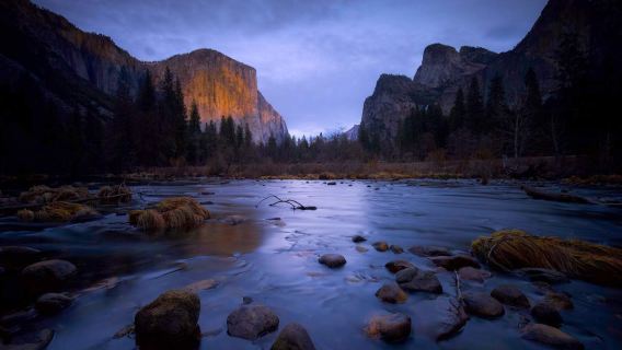 サンフランシスコ発ヨセミテ国立公園ワンデーツアー【混載ツアー5156】