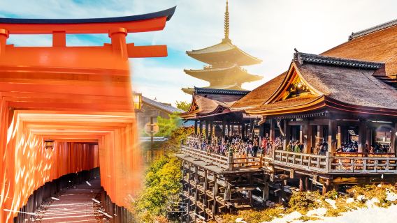 Excursión de un día a los puntos de interés más destacados de Kioto y Nara (salida desde Osaka, visita a 7 lugares famosos)