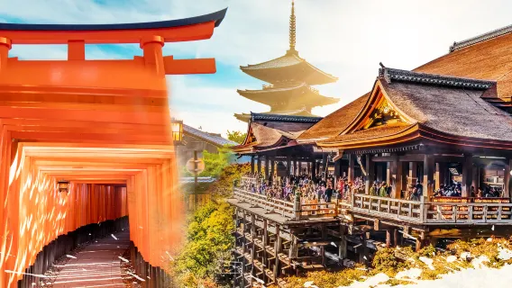 Excursion d'une journée à Kyoto et Nara [Départ d'Osaka • Visite de 7 sites pittoresques célèbres]