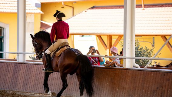 Portuguese School of Equestrian Art: Morning Training