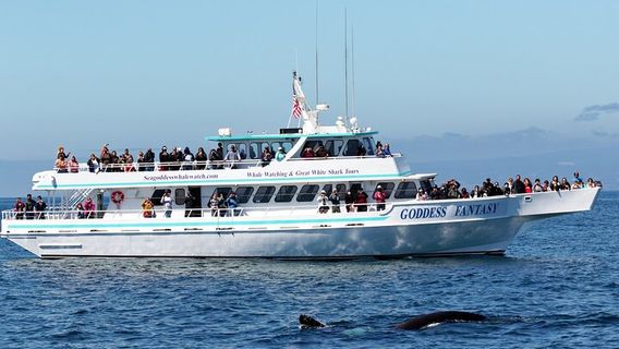Monterey CountyTours