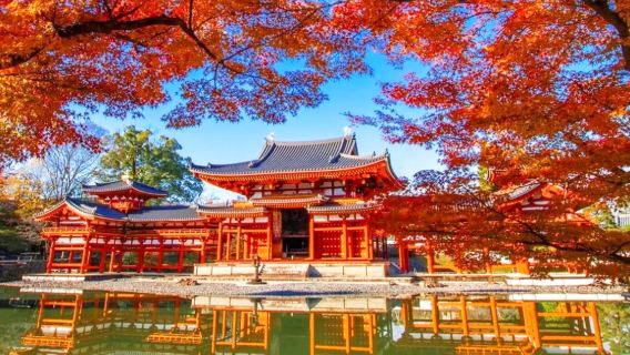 ออกเดินทางจากโอซาก้า: สัมผัสกวางนารา พิธีขอพรที่วัดโทไดจิ และสัมผัสประสบการณ์มัทฉะอุจิ