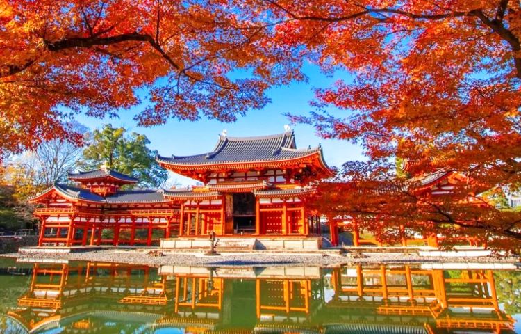 大阪出發【懶人專線】奈良小鹿互動+東大寺祈福+體驗宇治抹茶