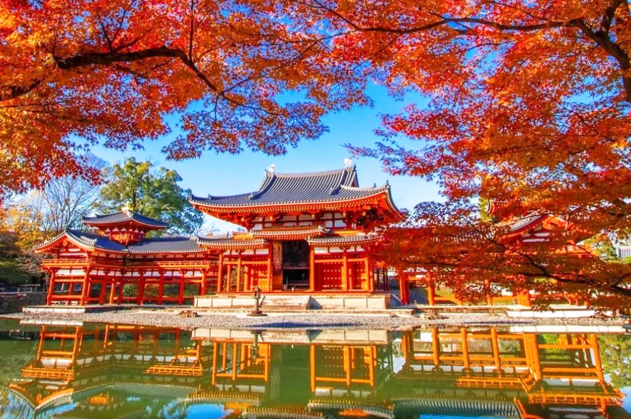 Vertrek vanuit Osaka [Luiemanslijn] Interactie met hertjes in Nara + Gebedsritueel bij Todai-ji + Proef de matcha van Uji