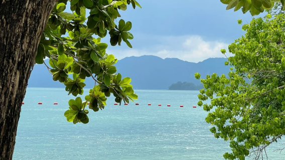 ทัวร์ครึ่งวันหมู่เกาะลังกาวี มาเลเซีย เกาะเบราส เกาะสิงโต และเกาะหญิงตั้งครรภ์