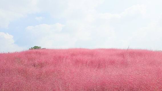 SeoulTours