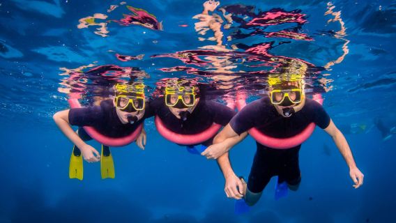 CairnsTours