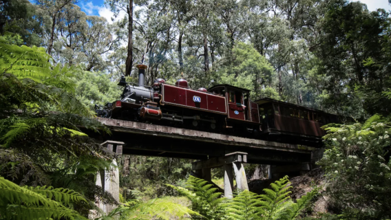 Lawatan Hutan Hujan Kereta Api Puffing Billy Steam (Bertolak dari Melbourne)
