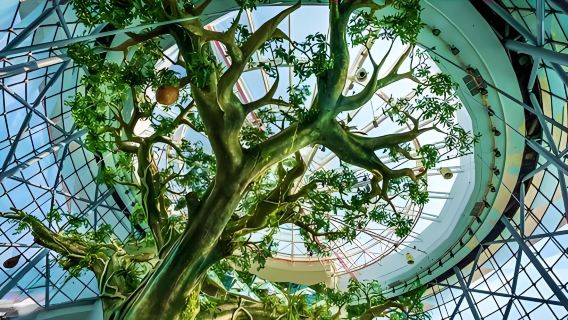 Entradas para Dubai Green Planet (entradas para adultos y niños disponibles) Aventura en la selva tropical interior