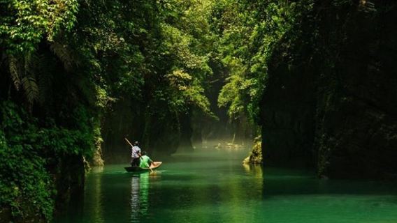 恩施屏山峽谷一日遊（2人可成團、不早起、無二消）奔馳保姆車