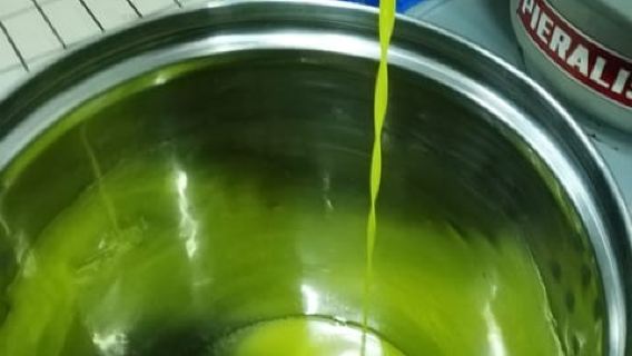 Umbria: visita guidata al frantoio tradizionale + degustazione