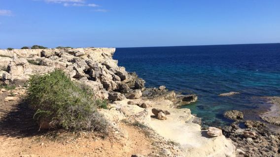 Ayia Napa