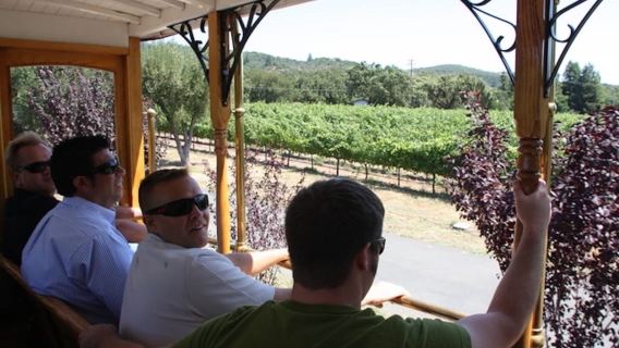 Sonoma Valley: Wine Trolley Tasting Tour with Lunch