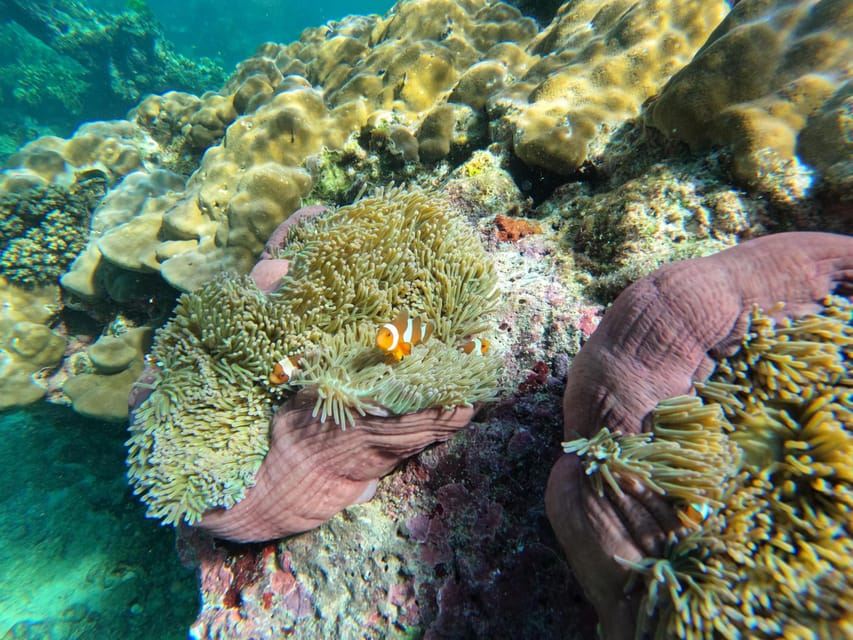 Krabi Aonang: Koh Rok & Koh Haa Snorkelling Day Trip + Lunch