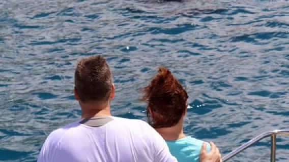 Oahu: crociera con snorkeling e avvistamento delfini con buffet in stile Luau