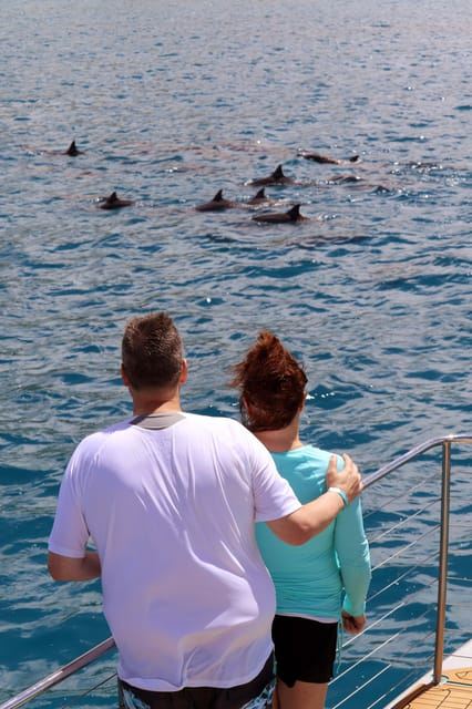 オアフ島：プレミアムシュノーケリングクルーズ、ホエール＆イルカウォッチング