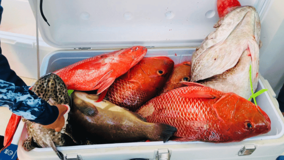 Sanya: Experiencia de pesca en alta mar en yate