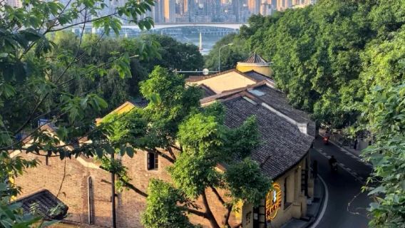 Popular Chongqing citywalk route: Eling Park to Liziba half-day tour