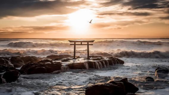 Ibaraki, Japan: Oarai Isomae Shrine, Seafood Market, and Hitachi Seaside Park Butterfly Blossom Day Tour