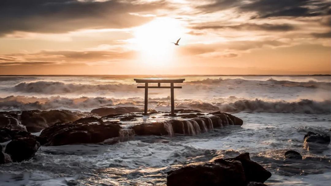 Tour di un giorno al Santuario Ōarai Isosaki di Ibaraki, al mercato del pesce e al campo di fiori nemophila del Parco Hitachi Seaside