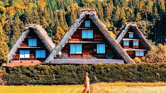 名古屋発|白川郷+飛騨高山 日帰りツアー【世界遺産・合掌村/紅葉鑑賞】