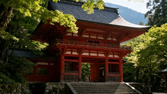 【奈良秋季限定！純玩小團·上門接送】吉野山南法華寺1日遊