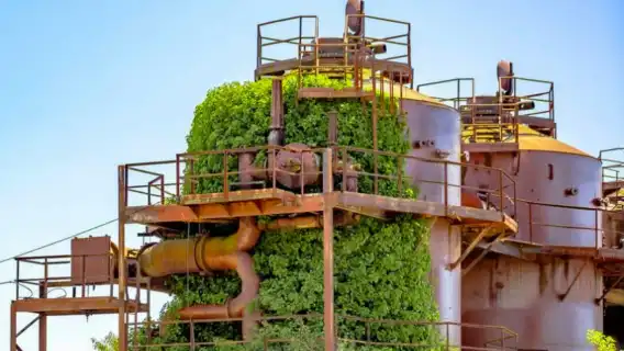 ทัวร์ 1 วัน กลับ [สวน Gas Works Park/ตลาด Pike Place]