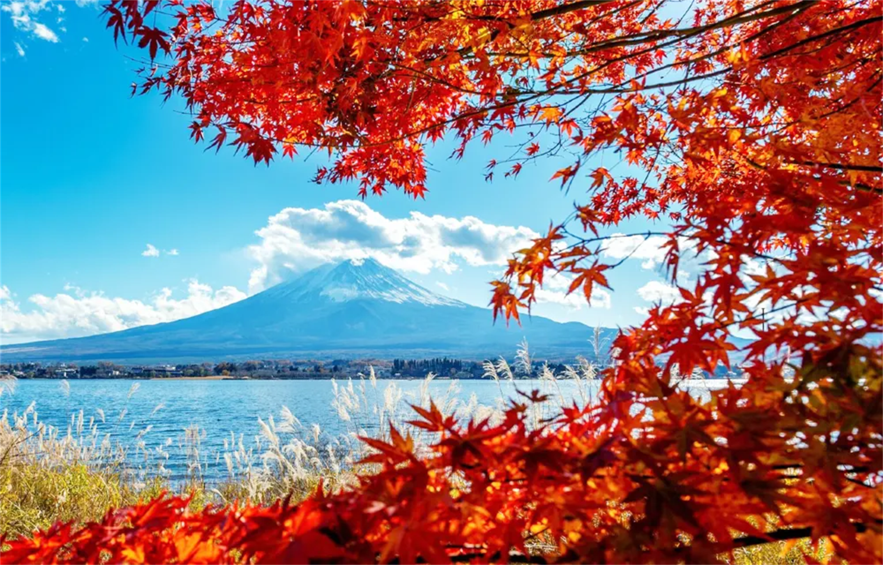 ทัวร์ 1 วัน ชม 7 ทิวทัศน์สุดฮิตของภูเขาไฟฟูจิ ถ่ายรูปเช็กอินที่ร้านสะดวกซื้อโลว์สันยอดนิยม และสวนโออิชิ ปาร์ค ริมทะเลสาบคาวากุจิ