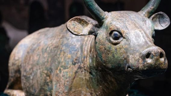 Ningxia Museum half-day tour [2–15 people small group + in-depth guide]