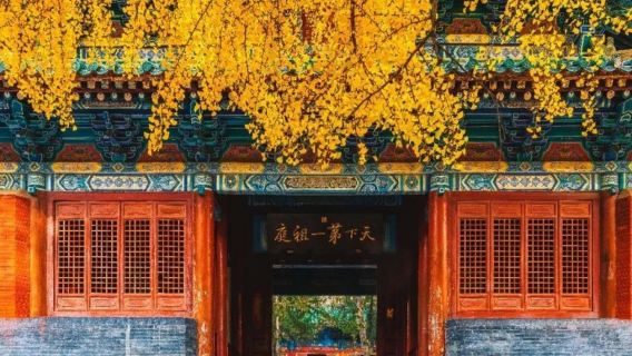 [Berasal dari Zhengzhou] Lawatan sehari ke Kuil Shaolin + Sanhuangzhai