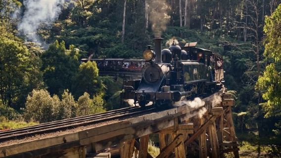 墨爾本普芬比利蒸氣火車+亞拉河谷一日遊【LV/羅富酒莊選任】