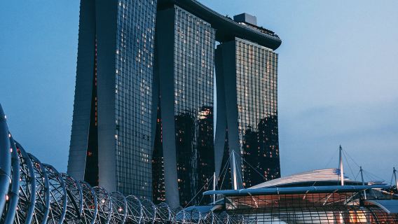 新加坡包車一日遊 中文司機，接駁個性化行程，隨心定制