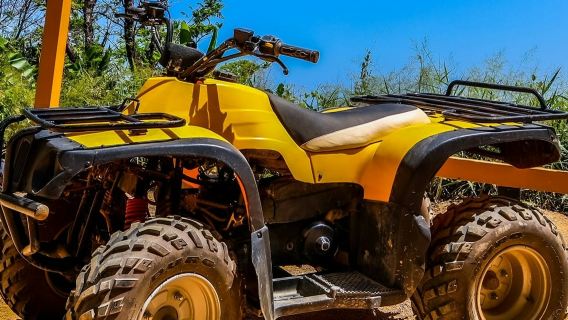 Pa Tong: ATV-Fahrt + Tour zum Großen Buddha