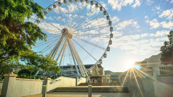 龍柏考拉+故事橋+萊頓堡國家公園+南岸公園+摩天輪※