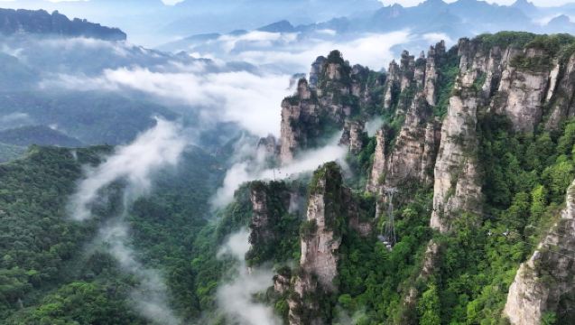 Tagesausflug mit privatem Transfer in Zhangjiajie – Zhangjiajie National Forest Park (3000 bizarre Gipfel, Erkundung von Avatar)