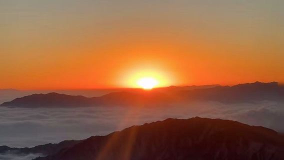 Chengdu [Base dei Panda della Valle di Bifeng + Zoo Safari 10H] + Monte Niubei per vedere l'alba 10H