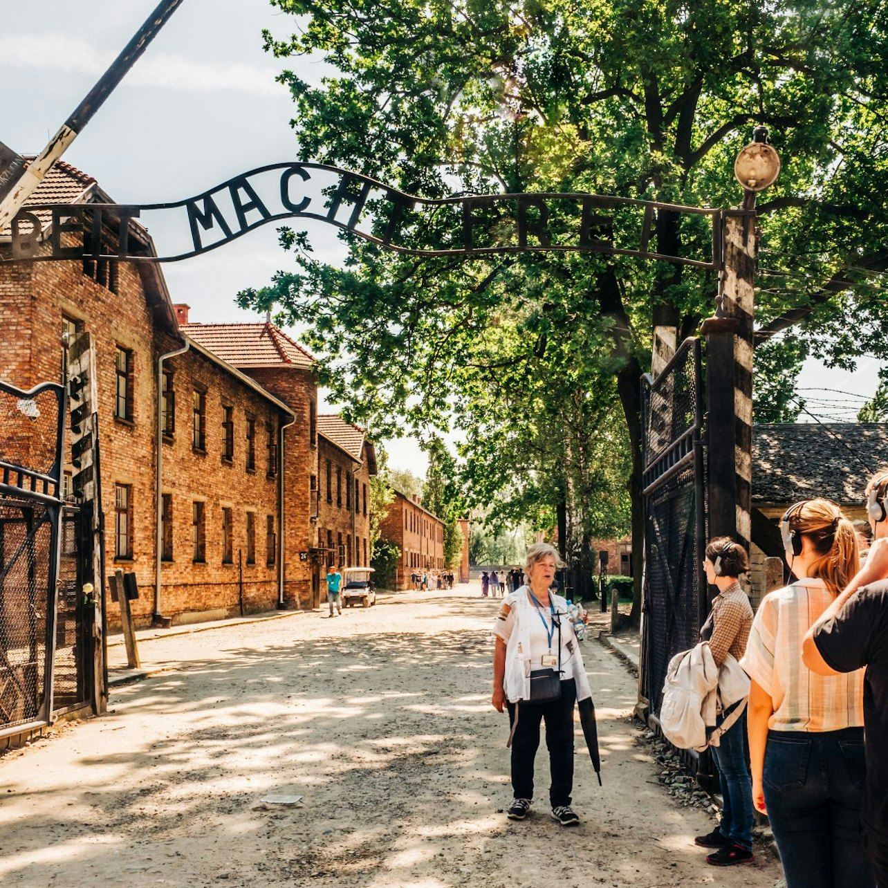 Auschwitz-Birkenau: Excursión de un día desde Cracovia (solo traslado)