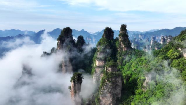 Tur 1 Hari ke Taman Nasional Hutan Zhangjiajie + Jembatan Kaca Lembah Besar: Layanan Sewa Mobil Pribadi (Petualangan di Surga Avatar, Berjalan di Jembatan Langit)