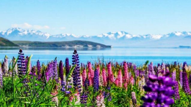 1-day tour from Queenstown to Christchurch including Aoraki / Mount Cook, Lake Tekapo and the Church of the Good Shepherd