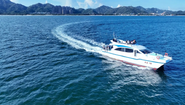 [Línea exclusiva de servicio de coche privado con conductor en Shanwei] Traslados urgentes las 24 horas + recogida en tren de alta velocidad/aeropuerto + personalización para eventos corporativos y reuniones · Todo incluido en un único precio