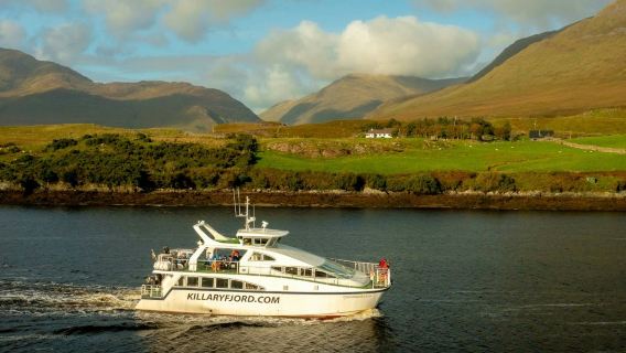 Connemara & Galway: Full-Day Tour from Dublin + Boat Cruise