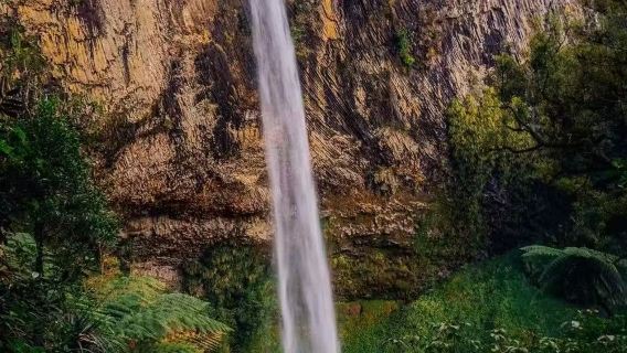 新娘面紗瀑布+TeToto海岸步道|懷託摩螢火蟲洞包車一日遊