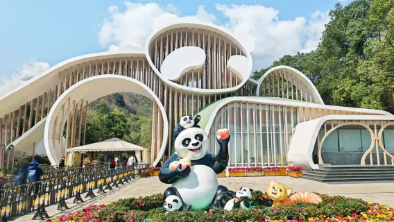 Sichuan dujiangyan panda valley admission ticket [close-up view of national treasures | bamboo listening in secluded valley | optional morning/afternoon session]