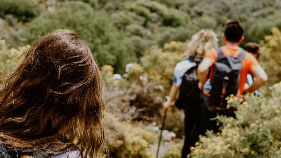 La Croix des Gardes Hiking Experience