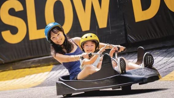 Skyline luge Singapore adventure